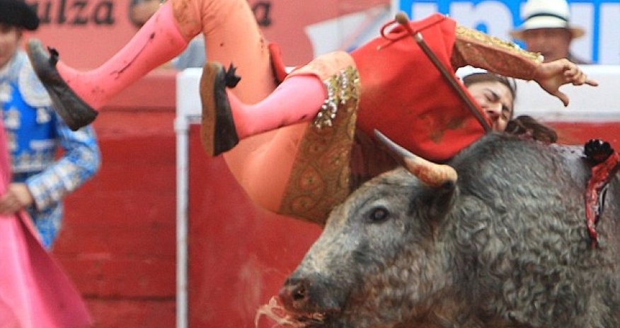 Female bullfighter gored TWICE by the same animal