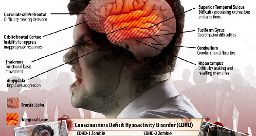 The science of ZOMBIES