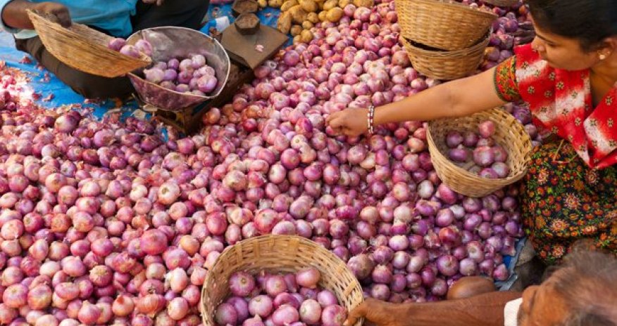 Three cheers for the onion