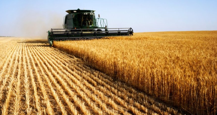 Azerbaijan to increase grain reserves