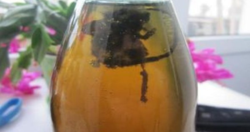 В  лимонаде найдена мышь