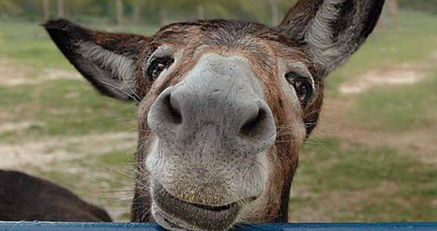 Шуртвац, ахпар,  турки матор и прочие неармяне