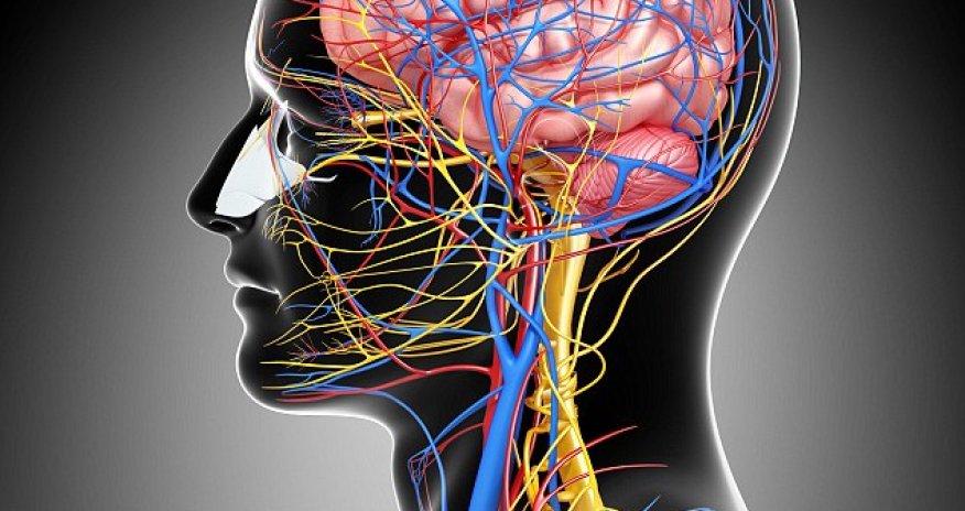 How your brain can heal your body