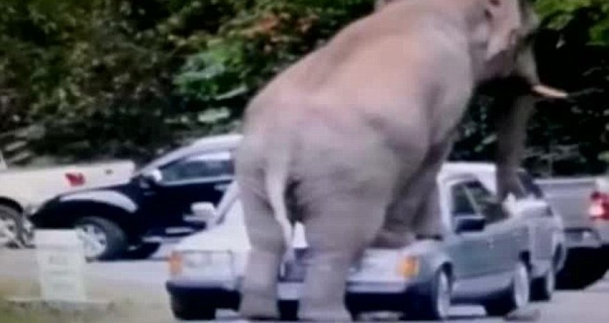 How am I going to explain this to the insurance company?