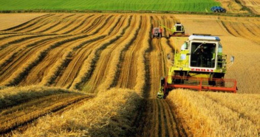 2015 declared Year of Agriculture in Azerbaijan