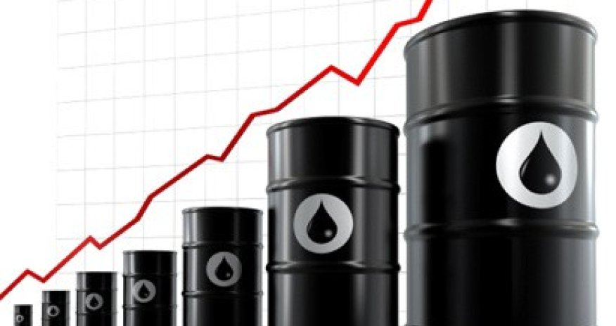 Iran oil revenues hit $33.6B