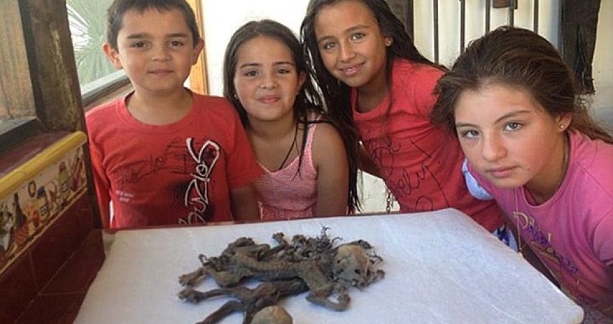 Farmer says he has found remains of two mysterious 'Chupacabra' creatures