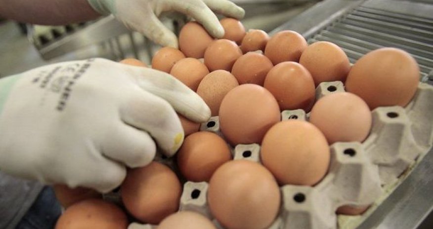 Россия не пустила в Азербайджан украинские яйца