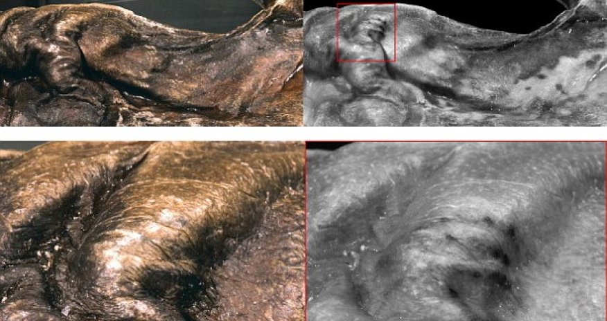 Ötzi the iceman's hidden tattoos uncovered