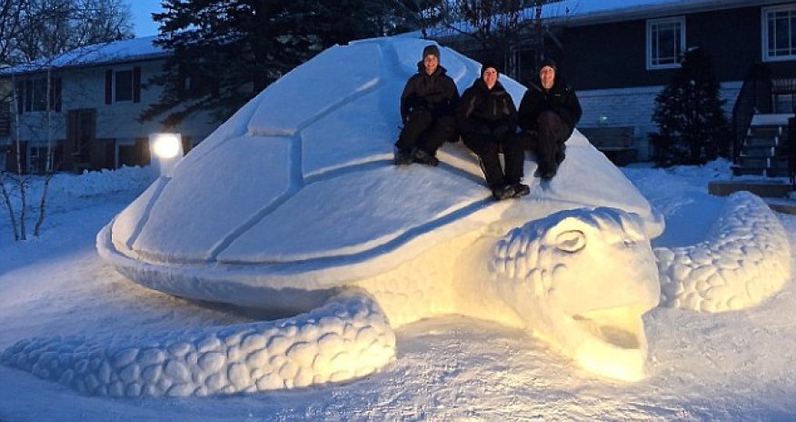 Brothers spend 300 HOURS building giant 12 foot turtle