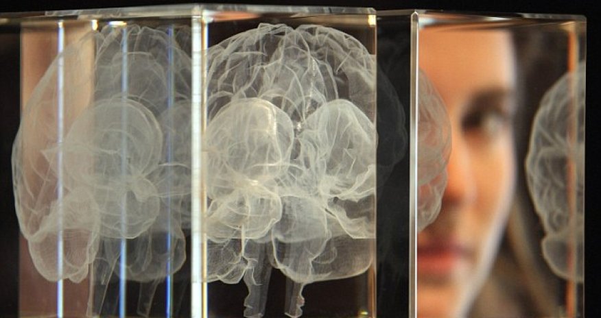 Do YOU have the smart gene?