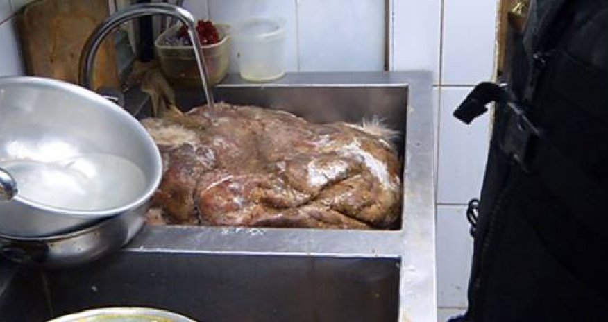 АСТ Тельман кормит людей мясом редких животных