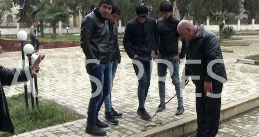 Джалилабадский парк наводнили змеи