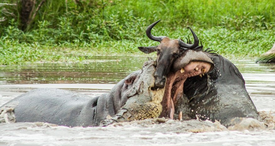 Think YOU'RE having a bad day?