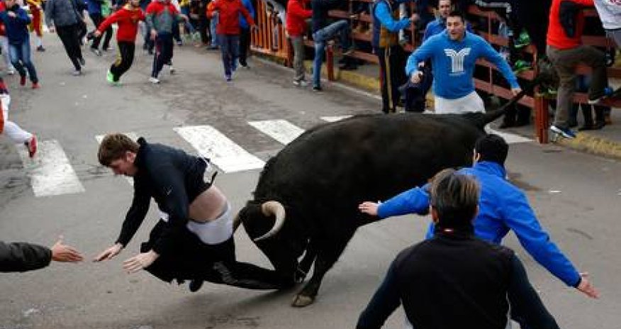 Student in intensive care after being gored by bull during Spanish festival