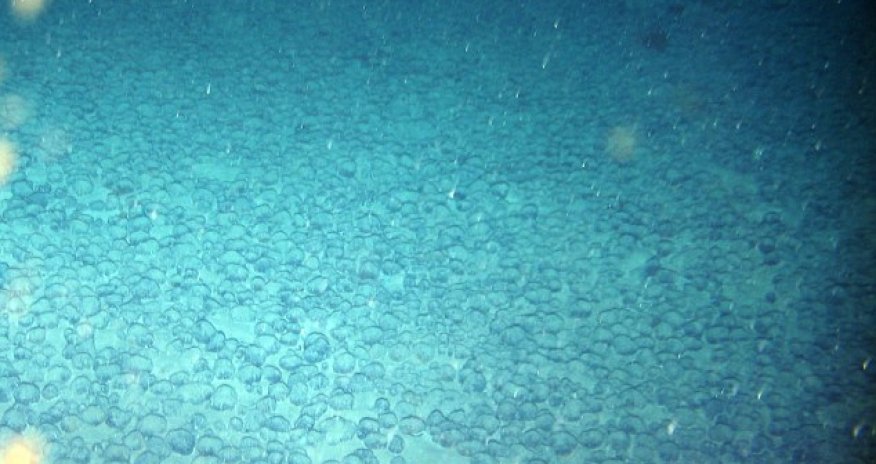 What are the mystery 'alien' balls found on the ocean floor?