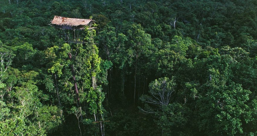Incredible homes of the treehouse tribe