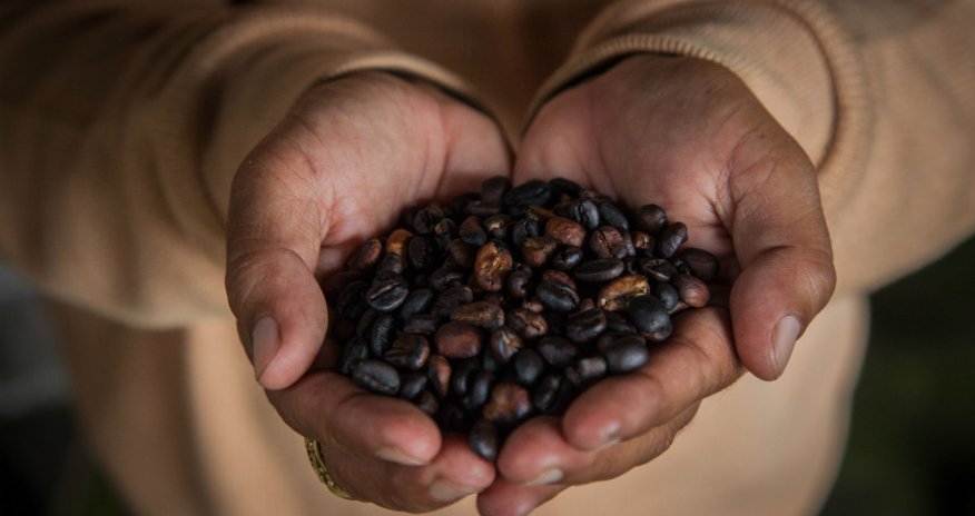 The science that proves why coffee is basically the best thing ever