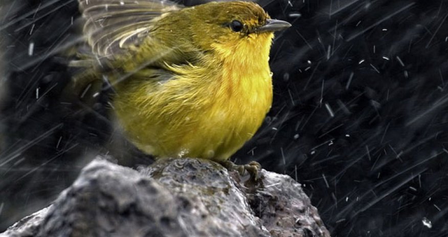 Sabah yollar buz bağlayacaq - XƏBƏRDARLIQ