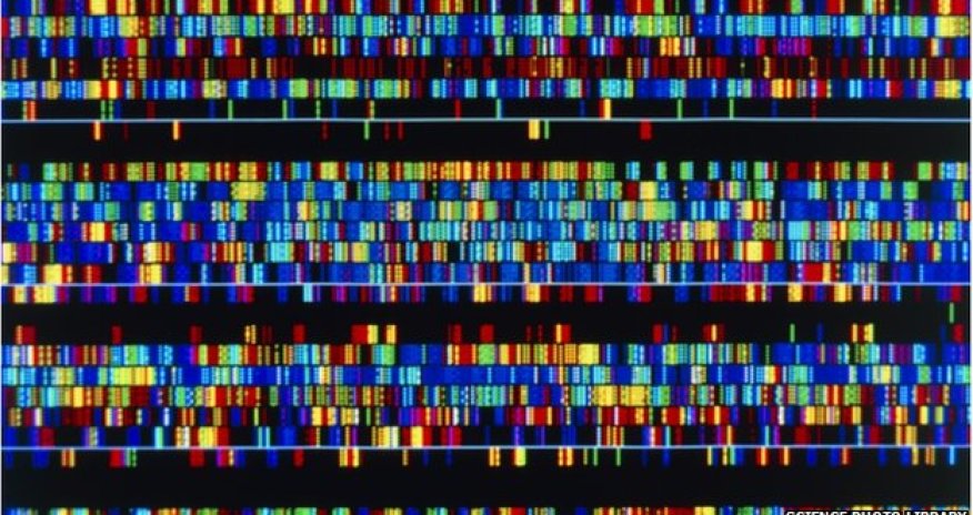 DNA screening kit given the go-ahead by US regulator