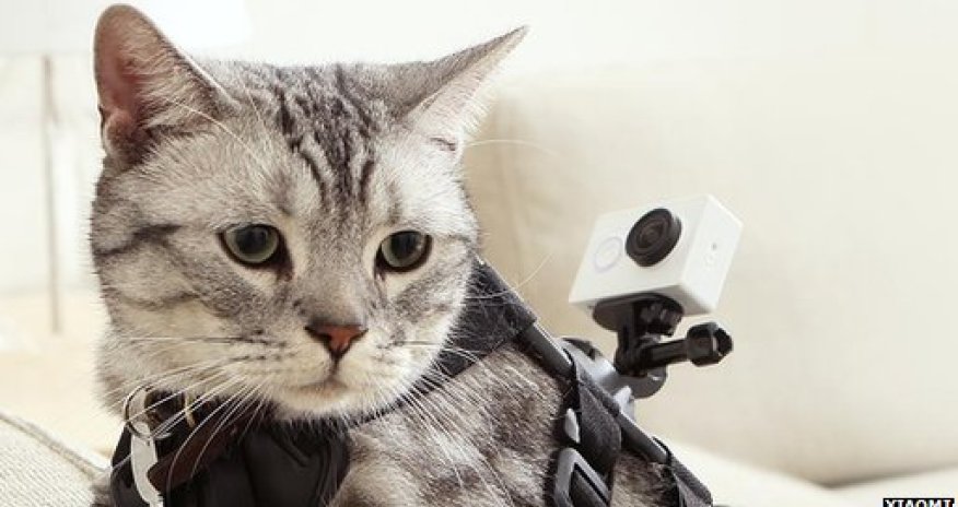 Xiaomi launches cheap action camera