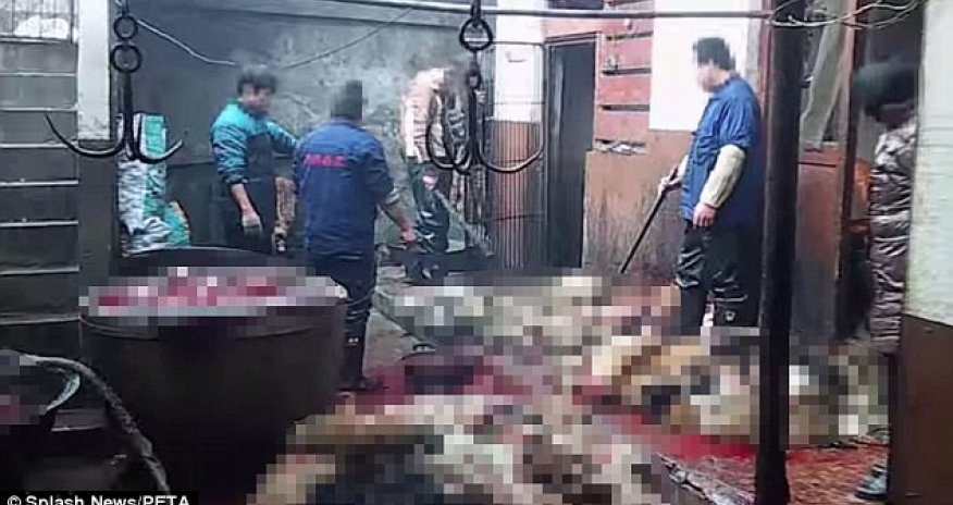 'One of the worst things I've ever seen'