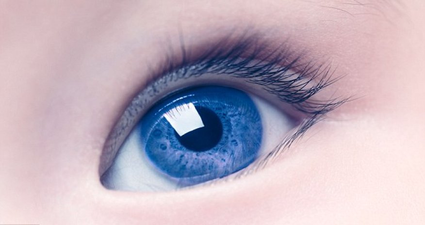 Could our ancestors see blue?