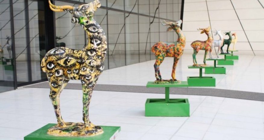 Bəzəkli ceyranlar  Bakıda - FOTOLAR