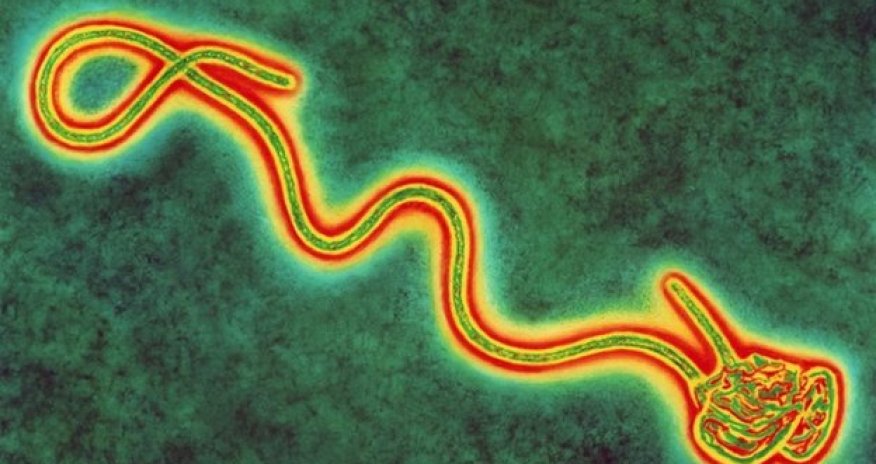 Ebola: Seventh British health worker sent home