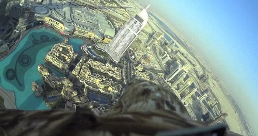 Talk about a bird’s eye view