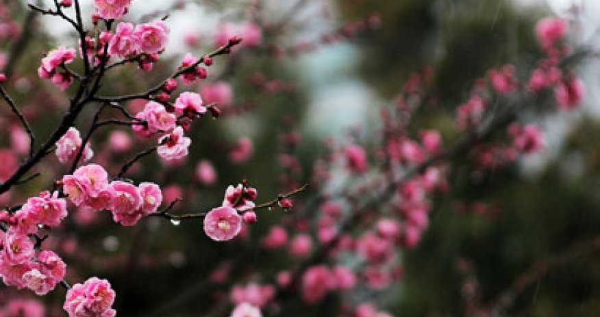 Baku weather forecast for March 19