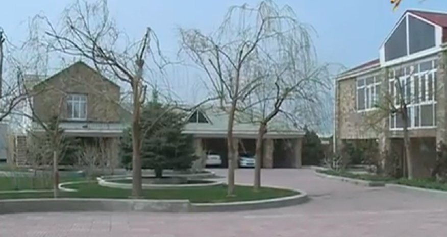 В Азербайджане создан отель для животных