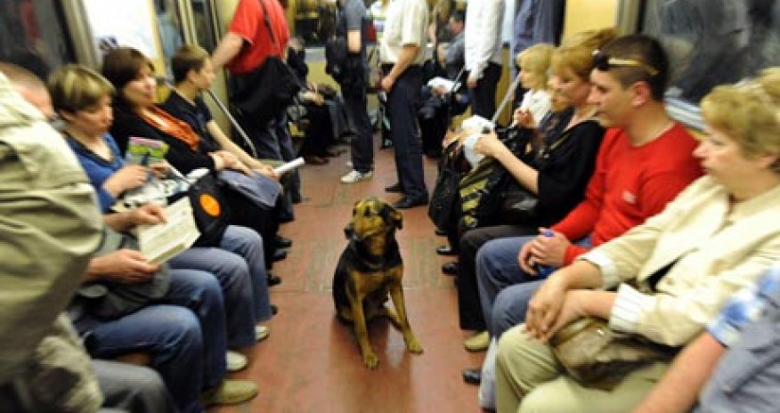 Taking a ride on the world's most envied metro system