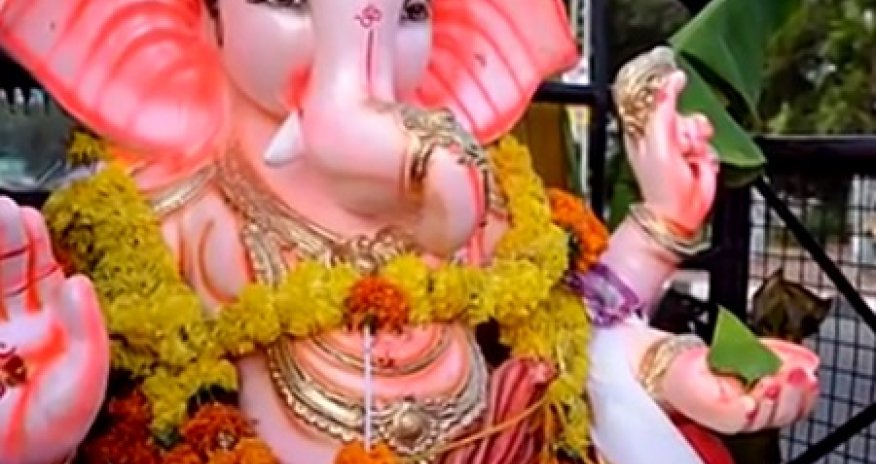 В Индии родилась девочка с 