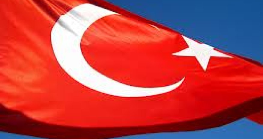 Turkish real GDP growth slows to 2.9 percent in 2014