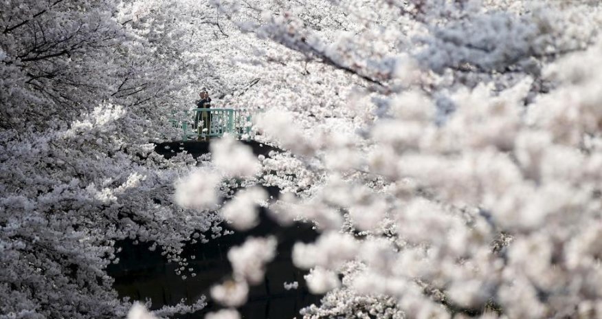 Around the world, in photos