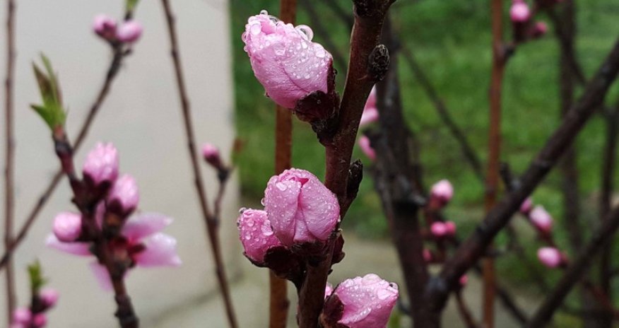Views of spring in Azerbaijan