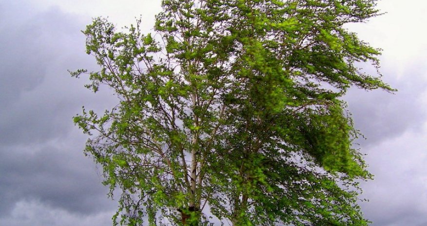 Baku weather forecast for April 4