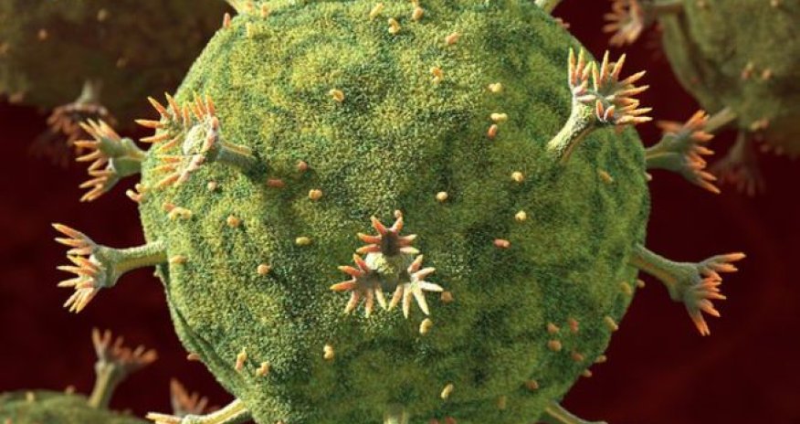 HIV: new approach against virus holds promise