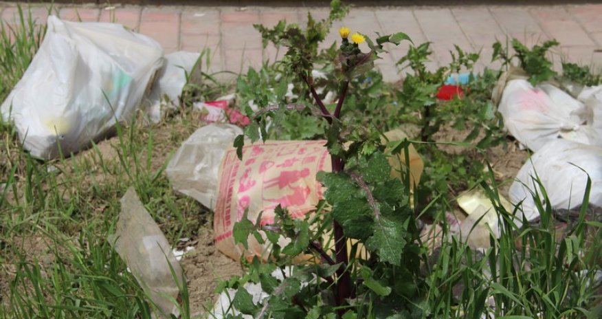 Güllü-çiçəkli və ... zibilli parklarımız - FOTOLAR