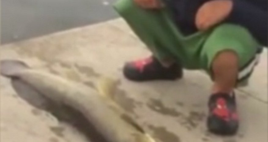 Well that's a slap in the face!