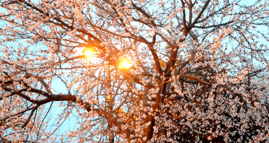 Baku weather forecast for April 15