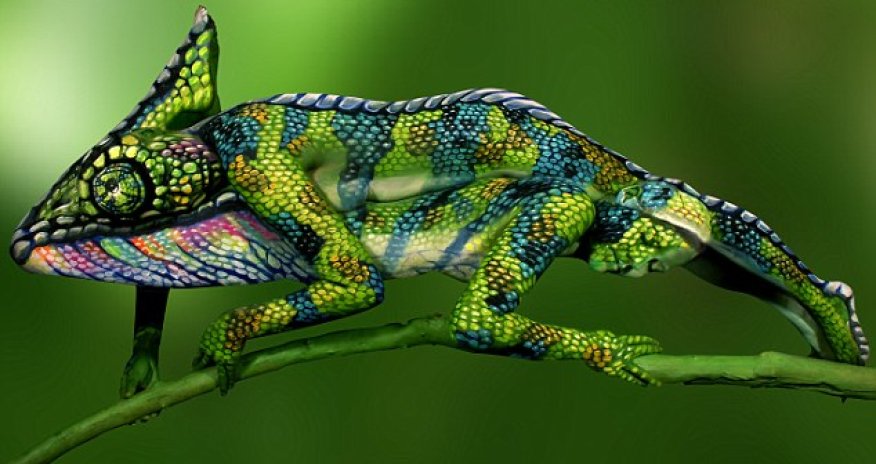 Chameleon?
