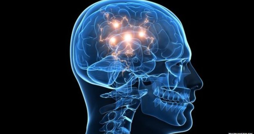 Dementia 'halted in mice brains'