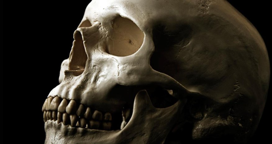 Our ancestors really were cannibals