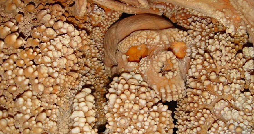 Neanderthal who fell down sinkhole 150,000 years ago