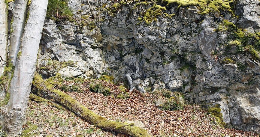 Can YOU spot the naked model camouflaged by trees and rocks