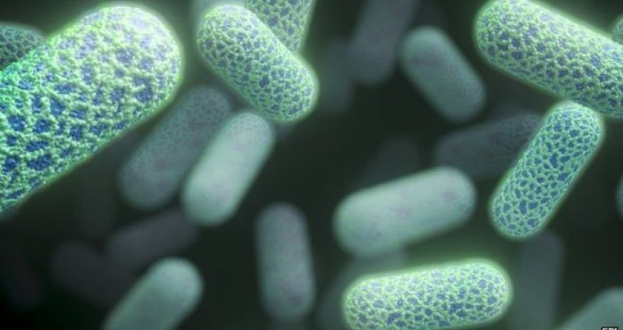 Most countries not protecting antibiotics, says WHO