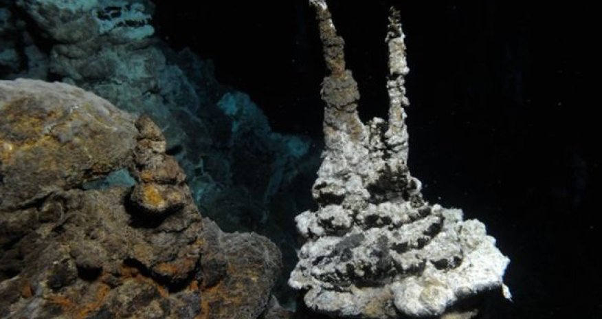 Newly found microbe is close relative of complex life