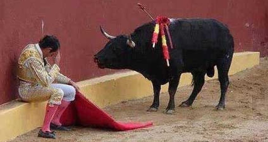 Бык напал на людей